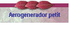 Aerogenerador petit