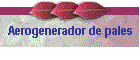 Aerogenerador de pales