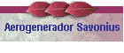 Aerogenerador Savonius