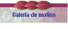 Galeria de molins