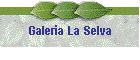 Galeria La Selva