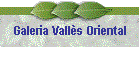 Galeria Valls Oriental