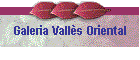 Galeria Valls Oriental