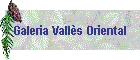 Galeria Valls Oriental