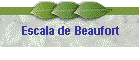 Escala de Beaufort