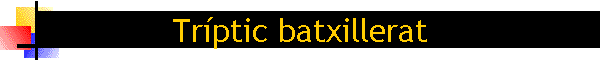 Trptic batxillerat