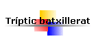 Trptic batxillerat